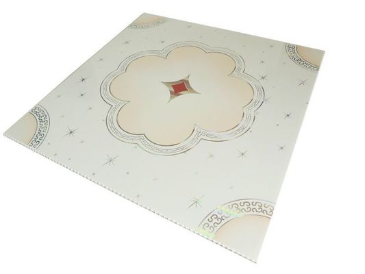 PD113 500mmx500mm 3D PVC 복합판/벽과 천장 판매용 패널