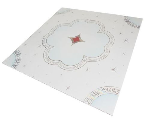 PD113 500mmx500mm 3D PVC 복합판/벽과 천장 판매용 패널
