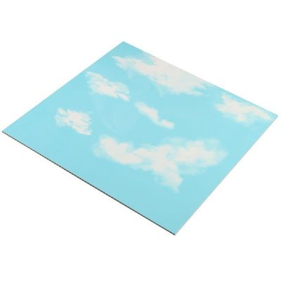 PD163 벽 / 천장 장식용 PVC 플라스틱 인테리어 3D 보드 크기 500*500*3.0mm