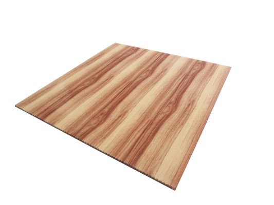 인테리어 장식용 맞춤형 방수 플라스틱 3D 벽 패널 크기 460mm*460mm