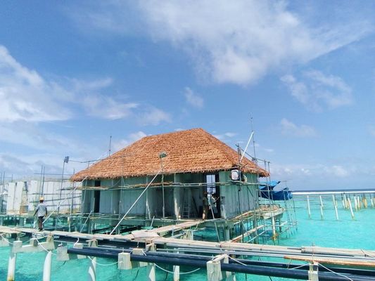 결코 사라지지 않는 화재 예방 환경 시뮬레이션을위한 평면 지붕 타일