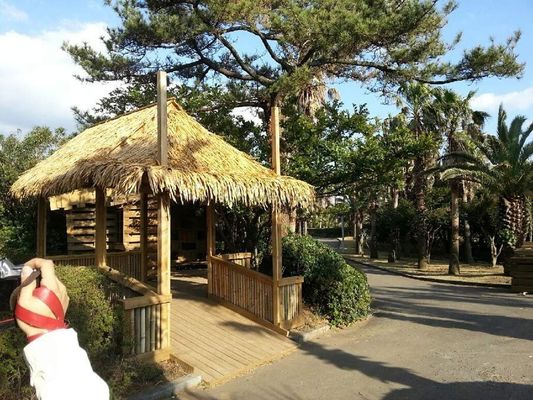지붕 장식용 맞춤형 남아프리카공화국 합성 타치 타일 SGS 테스트 및 승인