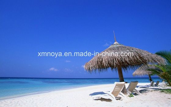 맞춤형 방수 짚 지붕 재료 해변 합성 및 맞춤형 크기