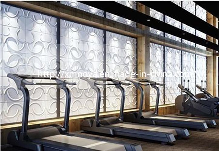 맞춤형 헬스장 벽 장식품의 음향 단열용 3D 패널